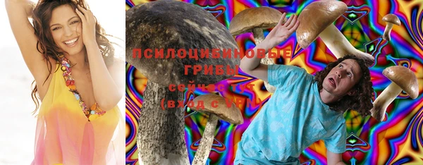 Альфа ПВП Заводоуковск