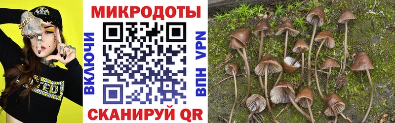 Купить закладки  Железноводск  Псилоцибиновые грибы GOLDEN TEACHER 