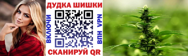 Купить где  Железноводск  Канабис ГИДРОПОН 